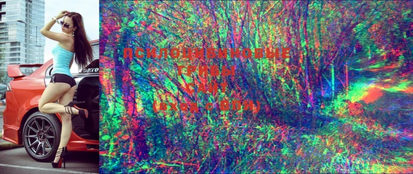 тгк Киреевск