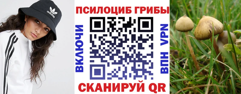 цена   Хилок  Псилоцибиновые грибы прущие грибы 